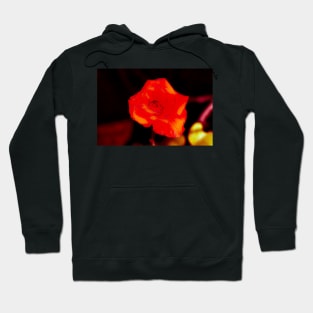 Orange rose blossom with yellow parts Hoodie